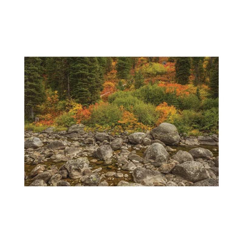 The Hills Are Flowing With Colour by Louis Ruth - Wrapped Canvas Print, 45.72cm H x 66.04cm W x 1.91cm D