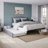 Elliana Solid Wood Platform Bed with Trundle-87198475-81971008