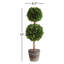 Thisbe Centerpiece in Pot