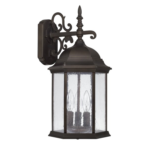 Darby Home Co Hearne Wall Light & Reviews | Wayfair