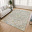 Tapis lavable à la machine intérieur / extérieur ACN2782 Global Chantille-1459905957-1459905962