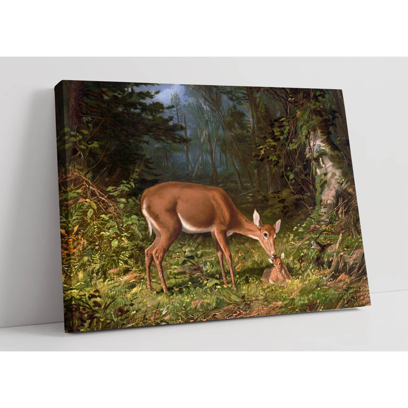 Wrapped Canvas Print, 30.48cm H x 45.72cm W