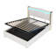 Danayjah Upholstered Bed-803665019-803665020