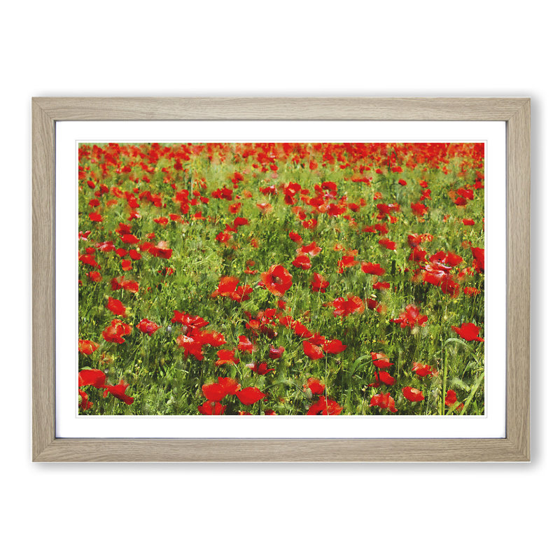 Field of Poppies Vol.2 - Framed Print, 27cm H x 36cm W x 2cm D, Oak Framed