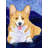 Corgi Double Sided 40'' H x 28'' W Polyester Animal House Flag