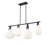 4 Light Pendant-100157105