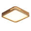 LED Flush Mount