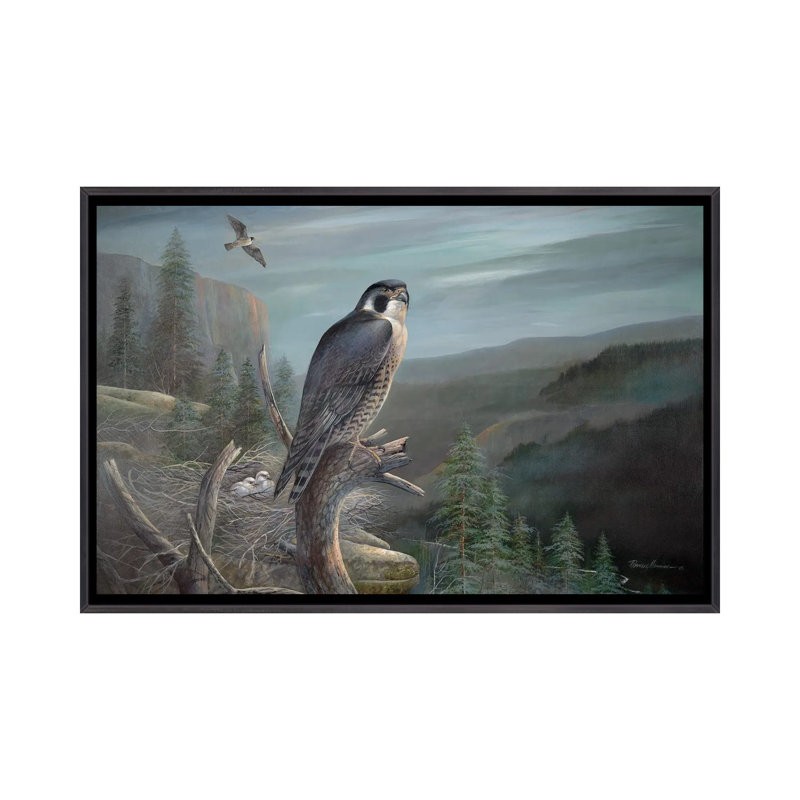 Falcon by Ruane Manning - Painting Print, No Matte, Distressed Black Framed Canvas, 26" H x 40" W x 1.5" D