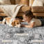 Tapis modernes Modern-1965343119