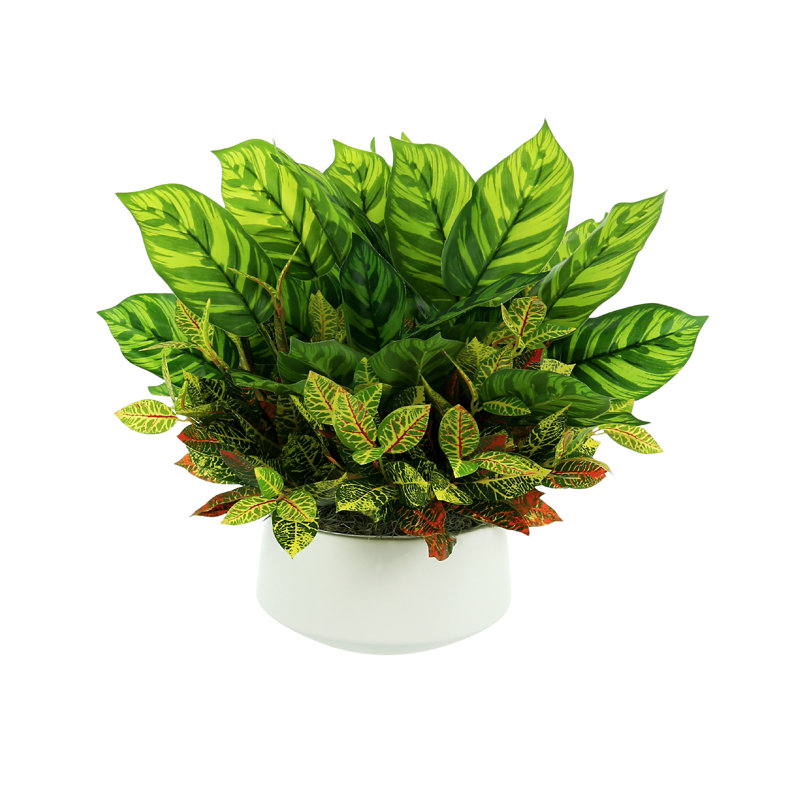 Outdoor Croton And Maranta Bush Arrangement In A Round Fiberstone Pot