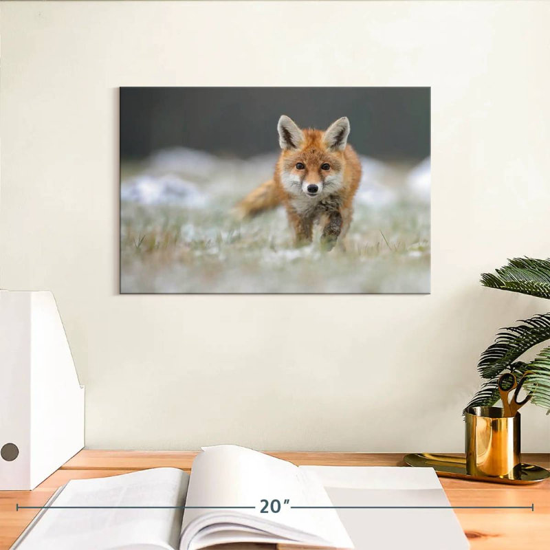 Brampt Baby Red Fox, 8" H x 12" W