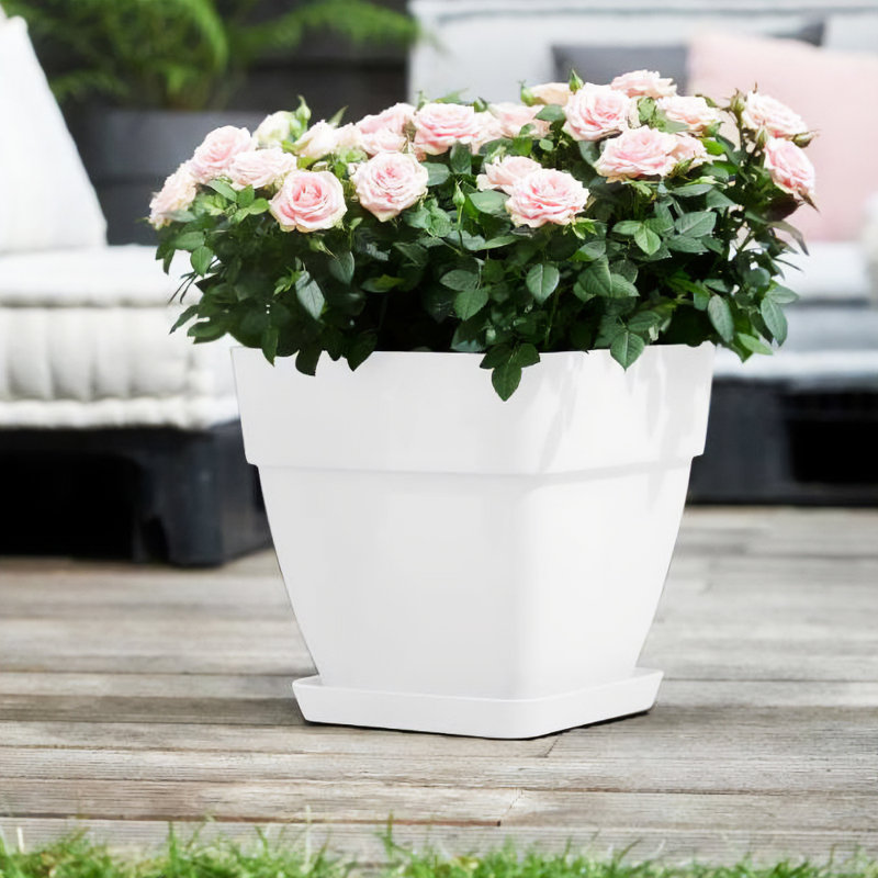 Pot Planter, 36cm H x 35cm W x 35cm D