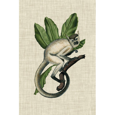 Canopy Monkey IV by Naomi McCavitt -  Painting