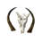 Tieanna Waterbuck Antelope Skull