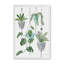 «My Boho Plants II» par Yvette St. Amant, reproduction d'art sur toile-1538896407-1538896414