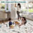 Insect Machine Washable Soft Area Rug for Living Room, Low Pile Non-Slip, Under Bed, Thin, Black Farmhouse Style.-995638811