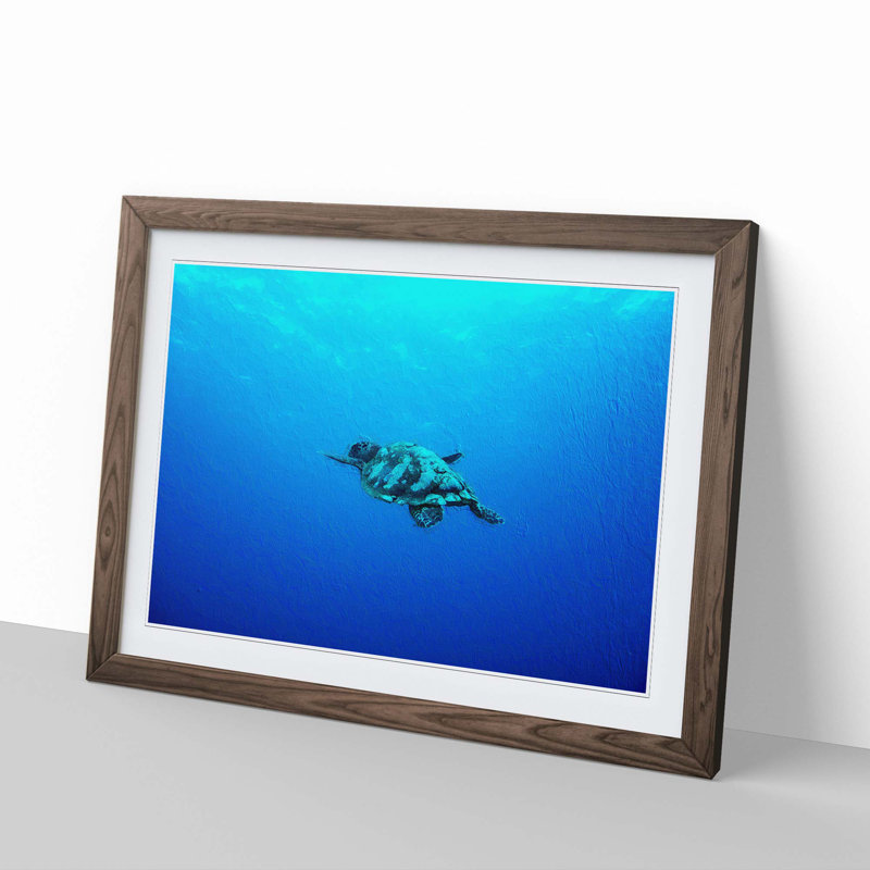 Swimming Turtle - Picture Frame Painting Print, 27cm H x 36cm W x 2cm D, Walnut Framed