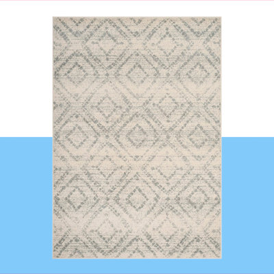 Muniz Performance Geometric Rug