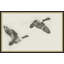 Migrant Flight 2 Wall Art & Signage
