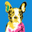 Frenchie VII Print by Guseul Park-1996997756-2012389085
