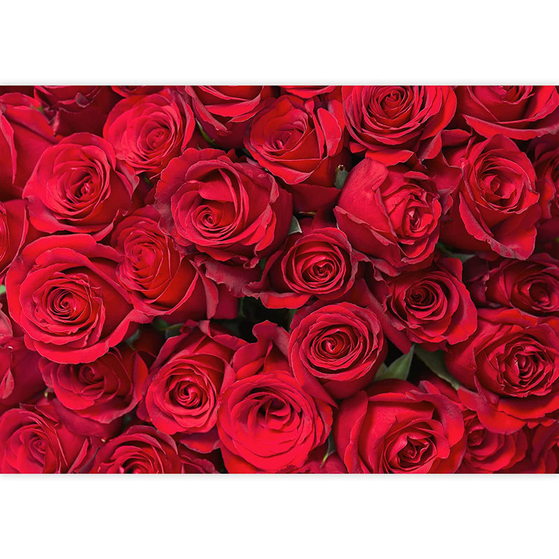 Élégante fleur rose M13, L 100 po x l 144 po