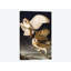 «Barn Owl Audubon Commission», impression sur toile-28627726-72451969-72451974
