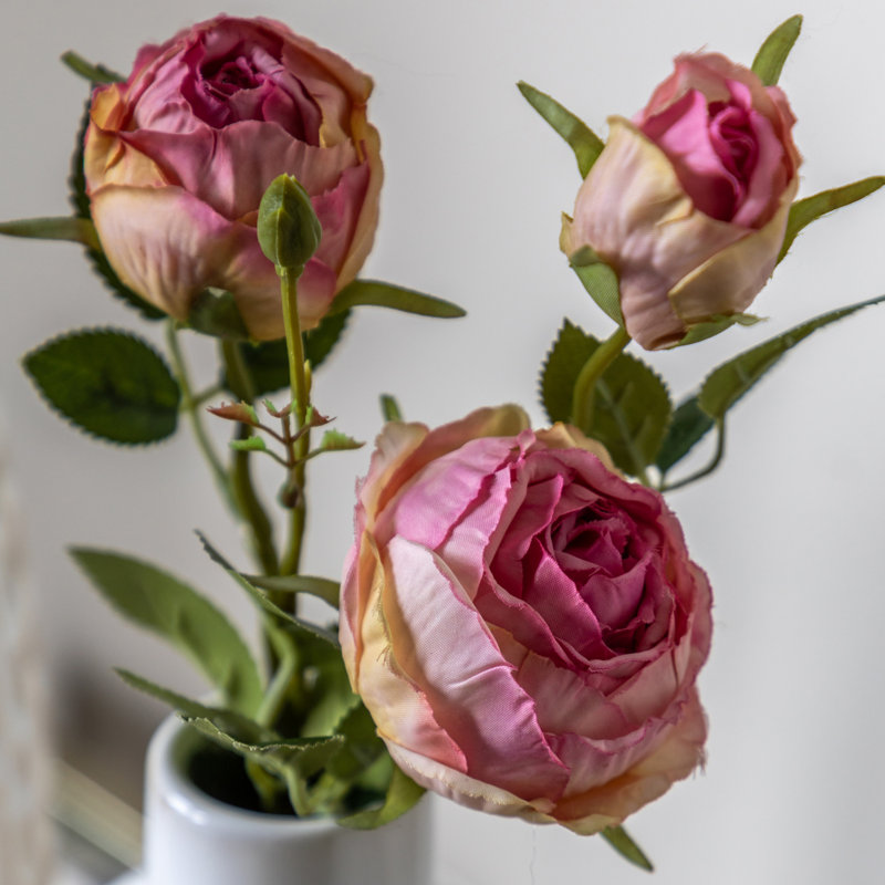 Faux Stem Vintage Rose White 540mm (6pk), Pink