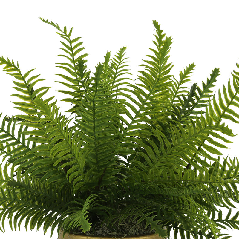 Outdoor UV-Rated Fern in Fiberstone Pot