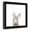 Art encadré en lapins forestières-48188934-48188939