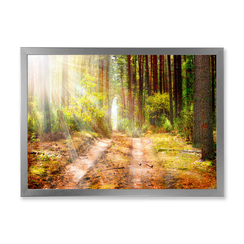 Sun Rays In Misty Old Forest II - reproduction de photo sur toile, Toile argentée avec cadre photo