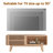 Modern TV Stand For Tvs Up To 50" With Mobile Sliding Door Design-1330134153