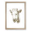 The Head of a Cow by Jean Bernard - Picture Frame Drawing Print-55611221-55611223