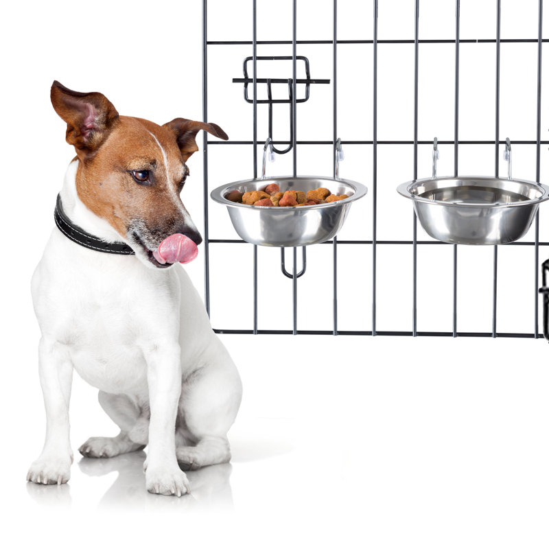Ensemble de bols pour chien en acier inoxydable PETMAKER - capacité de 50,4 oz chacun , H 3 po x l 6,25 po x P 6,25 po