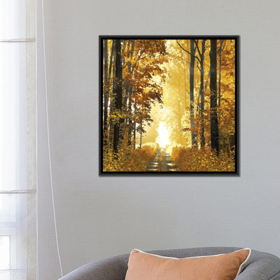 «Sunlit Forest I», impression sur toile