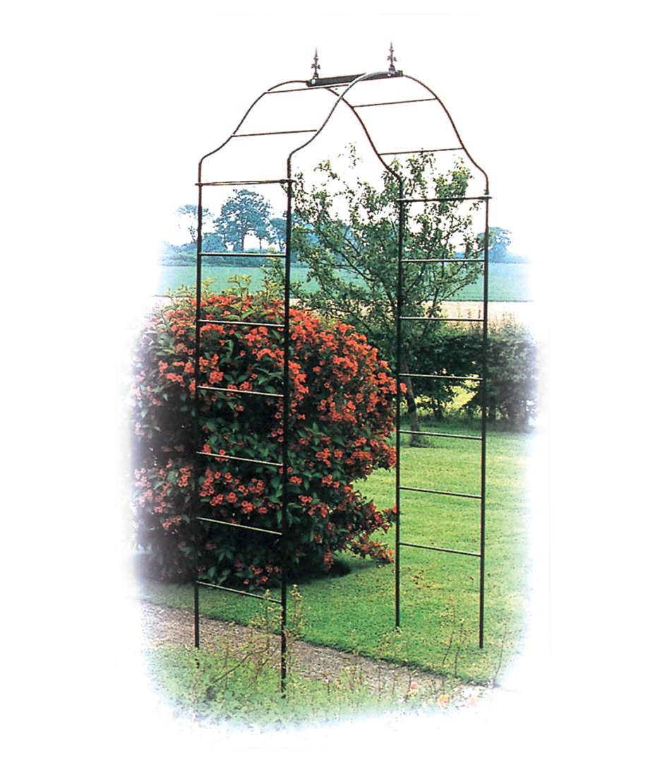 Leclair 120cm W x 48cm D Steel Arbour in Black