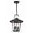 Tranesha 4 - Light Outdoor Hanging Lantern