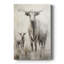 ANIMALS Series CCXCVI - Toile tendue avec châssis Premium - Prêt à être accroché-573451165