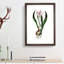Autumn Crocus Flowers Illustration - Framed Print-55456878-55456879