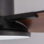 Ventilateurs de plafond modernes de 52 pouces avec lumières et télécommande noir-1084831799-1084831801-1084831798