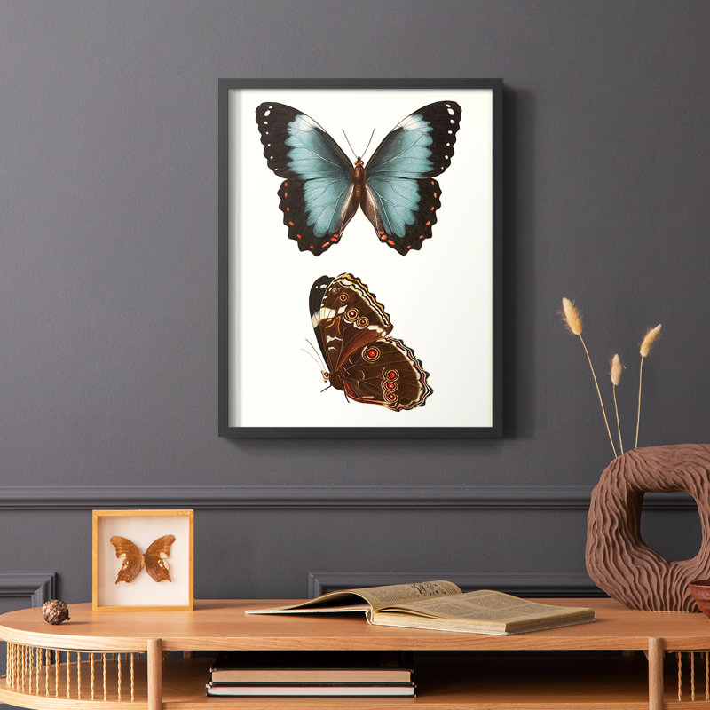 «Antique Blue Butterflies IV», reproduction encadrée - bois massif, H 28 po x l 22 po, Noir
