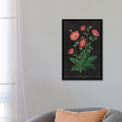 «Botanical Charte», impression sur toile tendue