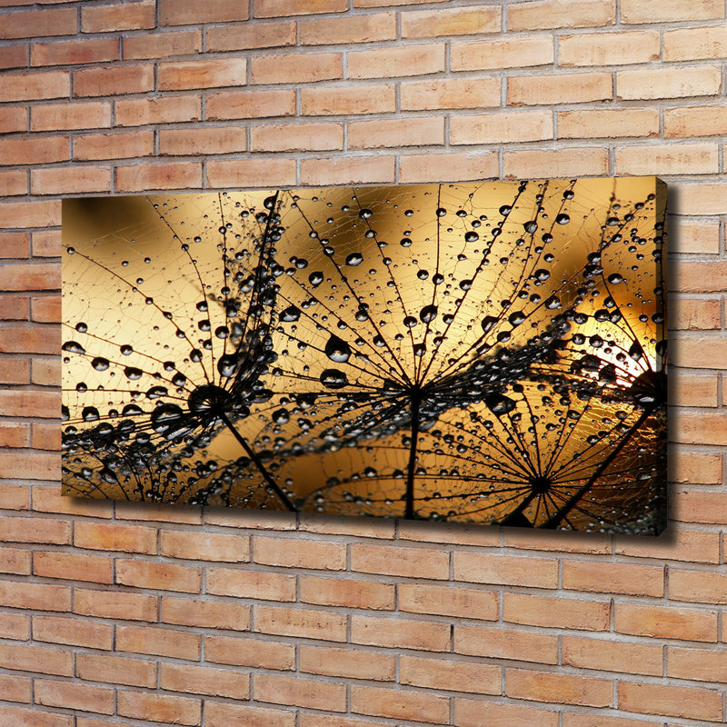 Dandelion Seeds - Wrapped Canvas Print