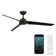 Roboto 3 - Blade Indoor/Outdoor Smart Ceiling Fan with Remote Control Included