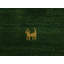 Handwoven Wool Gabbeh Uni Green Rug-60831736