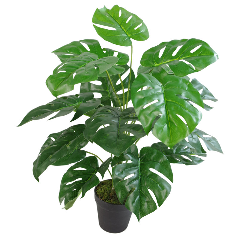 Faux Plant in Pot Liner, 60cm H x 60cm W x 60cm D