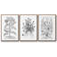 Ensemble de 3 pièces encadrées sur toile noir et blanc-809689888-809689916