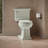 Memoirs Stately Comfort Height 1.28 gpf Two-piece Round-front Toilet-13236823-65046000