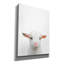 «Baby Goat» par Tai Prints-1189879361