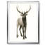 «Majestic Wildlife II», reproduction-865253693-865283580