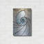 «Shell» par Rita Shimelfarb-1788235265